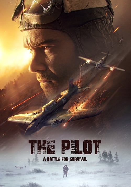 Movie poster for The Pilot: A Battle for Survival (2021)