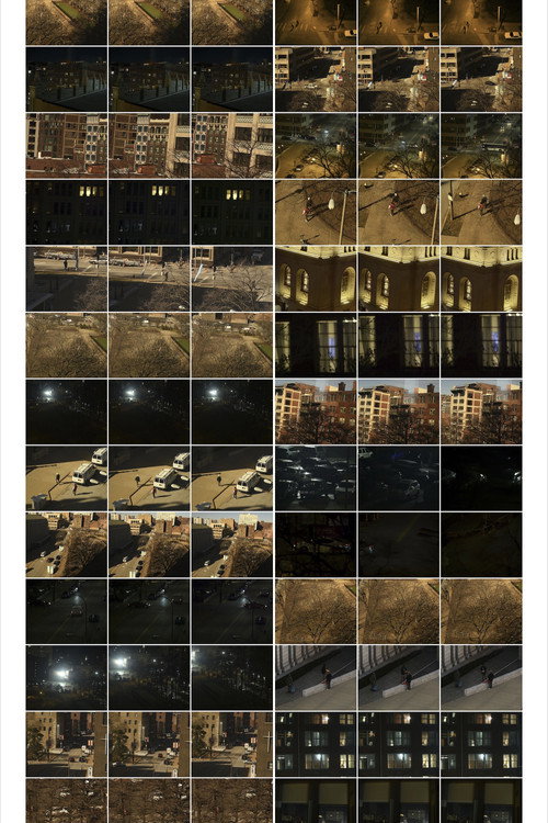 Movie poster for Interactions 20: Views 1, St.Louis (2024)