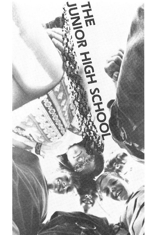Movie poster for The Junior High School (1971)