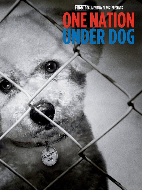 Movie poster for One Nation Under Dog (2012)