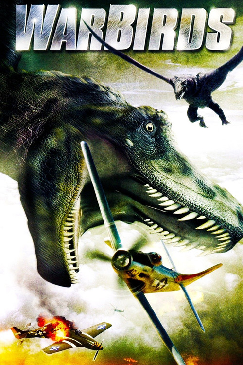Movie poster for Warbirds (2008)