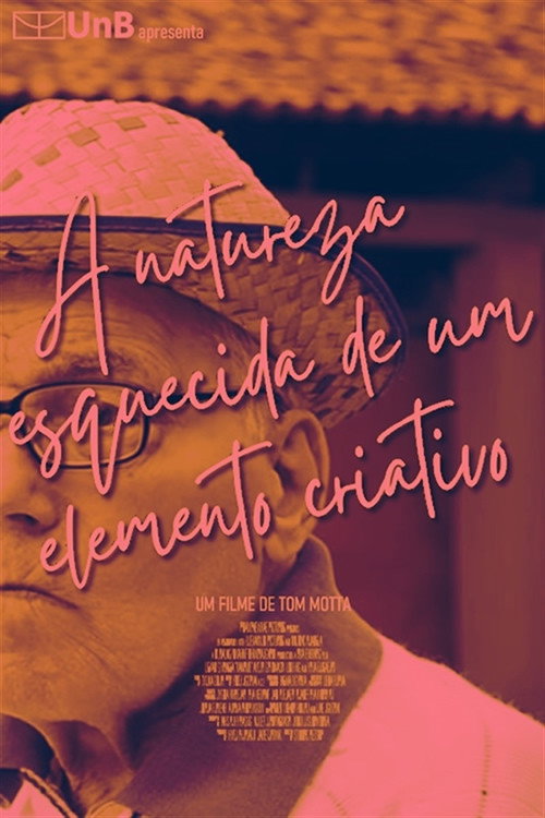 Movie poster for A natureza esquecida de um elemento criativo (2015)