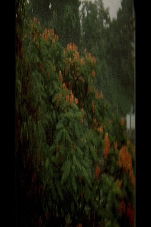 Movie poster for A Fortress (2018)