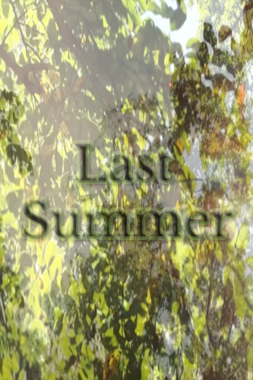 Movie poster for Last Summer (2025)