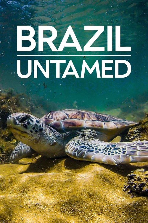Series poster for Brazil Untamed (2016)