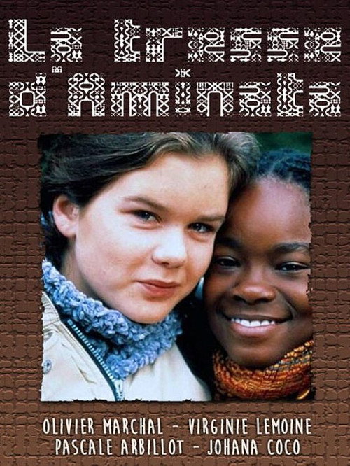 Movie poster for La tresse d'Aminata (2004)