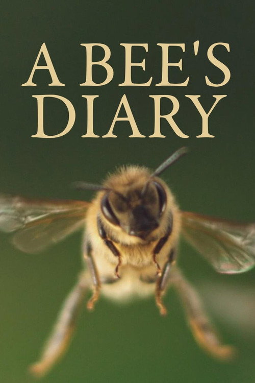 Movie poster for A Bee's Diary (2020)