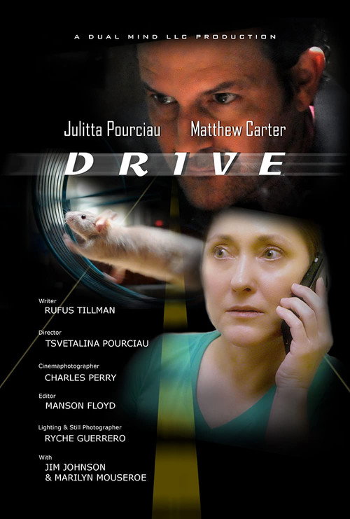 Movie poster for Drive (2019)