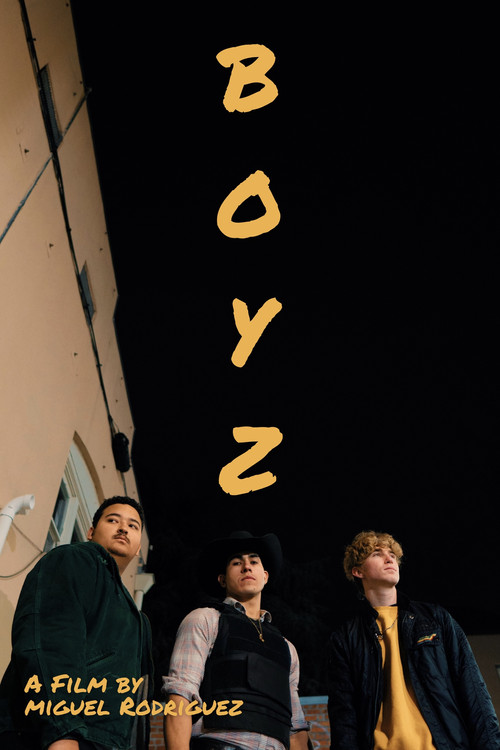 Movie poster for Boyz (2024)