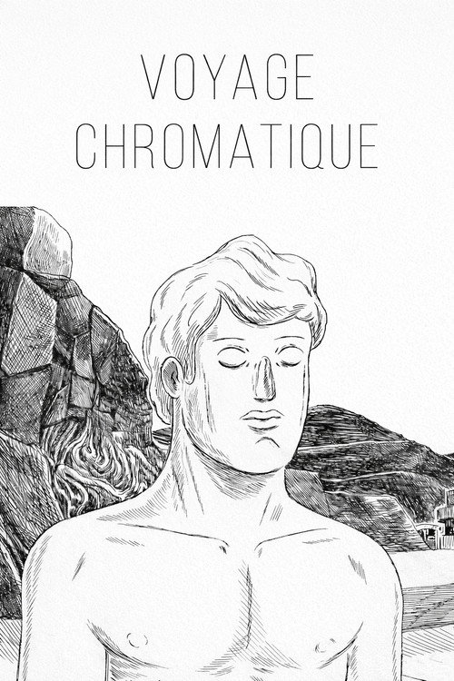 Movie poster for Voyage Chromatique (2011)