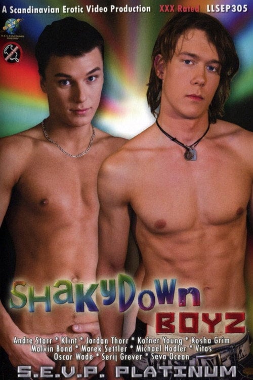 Movie poster for Shakydown Boyz (2009)