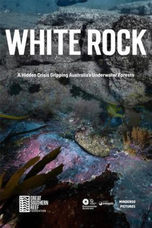 Movie poster for White Rock (2025)