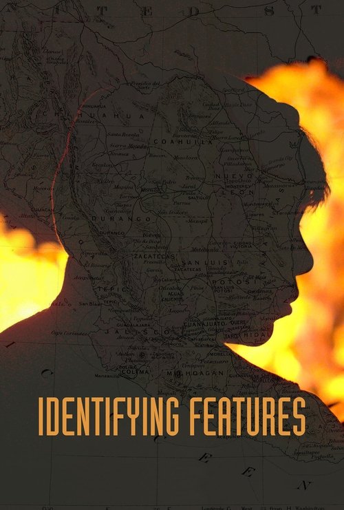 Movie poster for Identifying Features (2020)
