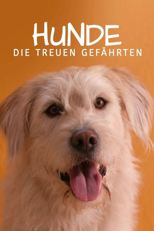 Movie poster for For Dog’s Sake (2018)
