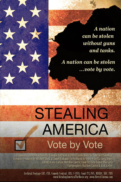 Movie poster for Stealing America: Vote by Vote (2008)