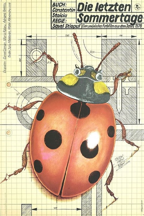 Movie poster for Last Days of Summer (1976)