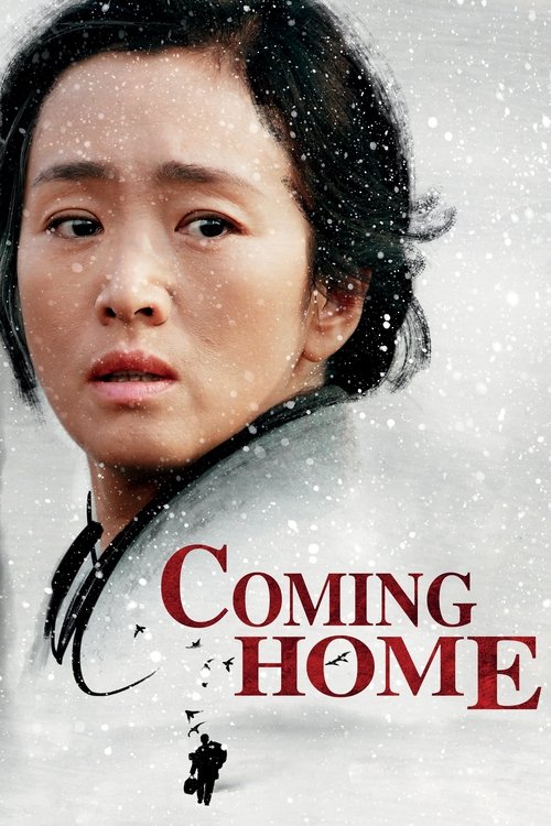 Movie poster for Coming Home (2014)