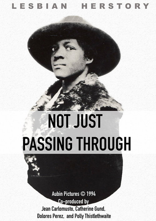Movie poster for Not Just Passing Through (1994)