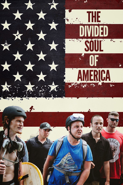 Movie poster for The Divided Soul of America (2019)
