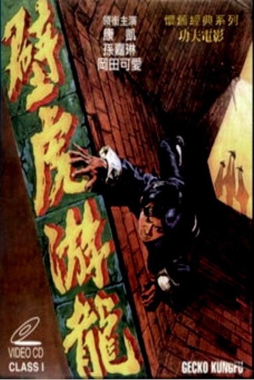 Movie poster for Gecko Kung Fu (1972)