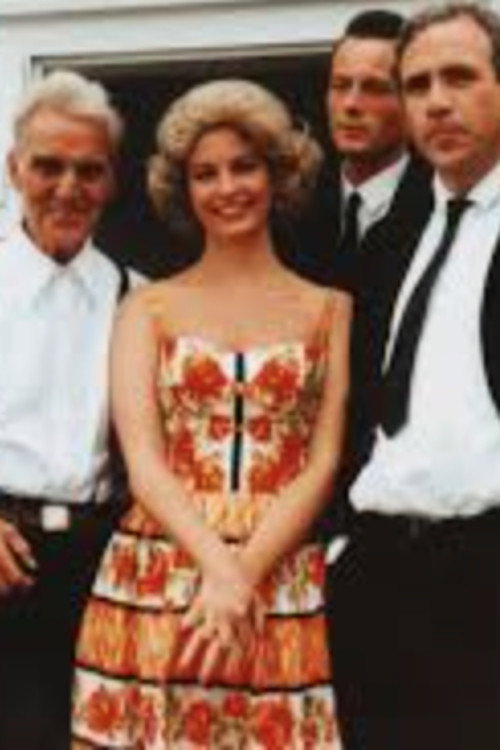 Movie poster for Sunday Dinner (1991)