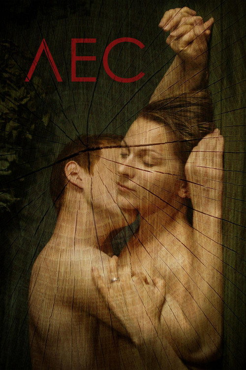 Movie poster for The Forest (2018)