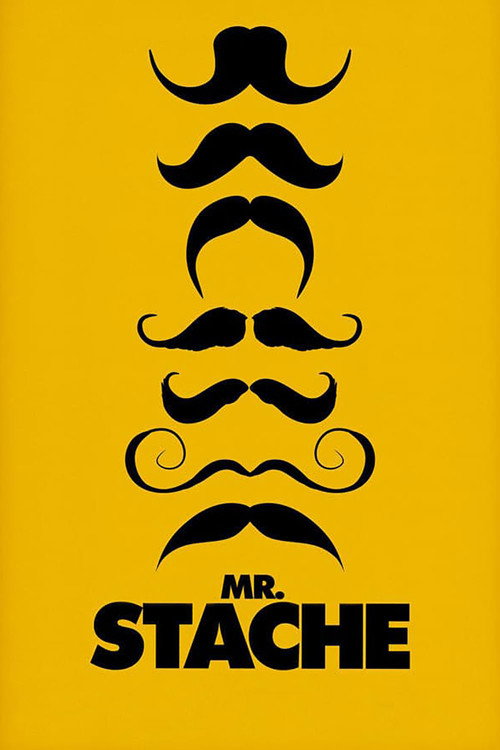 Movie poster for Mr. Stache (2011)