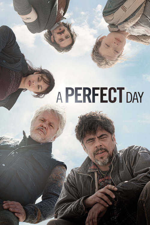 Movie poster for A Perfect Day (2015)