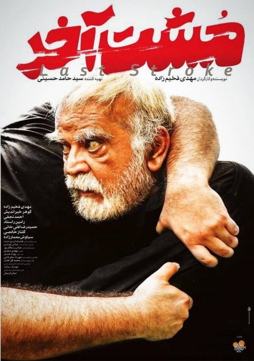Movie poster for The Last Stroke (2019)