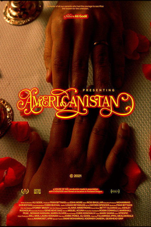 Movie poster for Americanistan (2021)