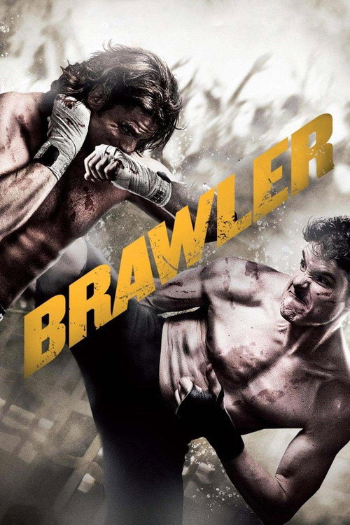 Movie poster for Brawler (2011)