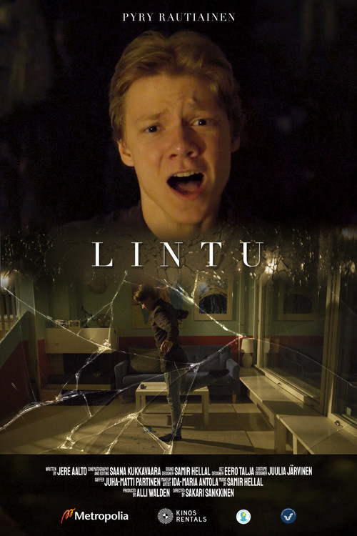 Movie poster for Lintu