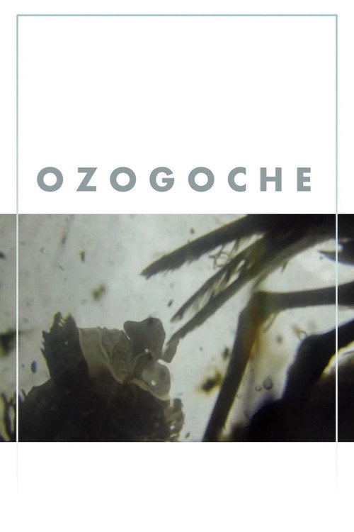 Movie poster for Ozogoche (2023)