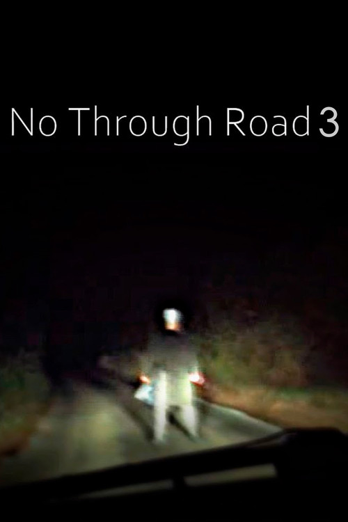 Movie poster for No Through Road 3 (2012)