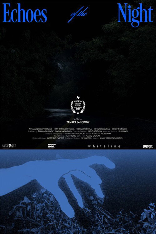 Movie poster for Echoes of the Night (2026)