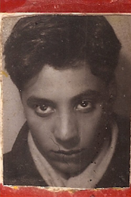 Photo of Luís Alves de Matos, Directing
