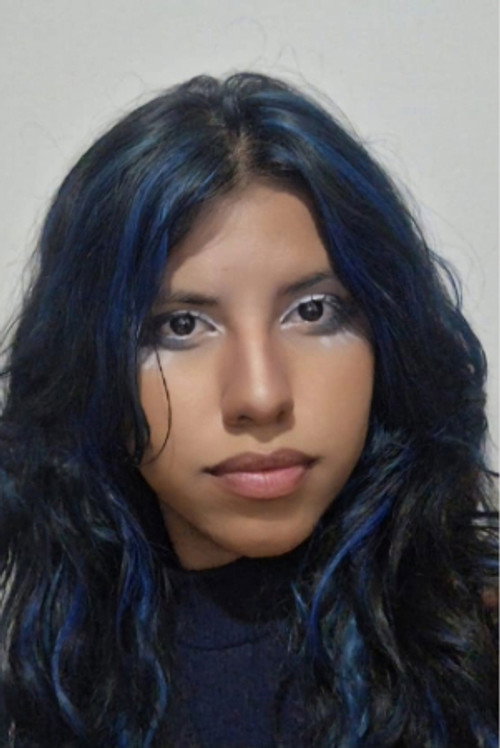 Photo of Júlia Gomes, Writing