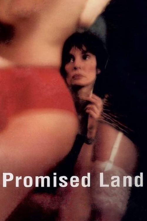 Movie poster for Promised Land (2004)