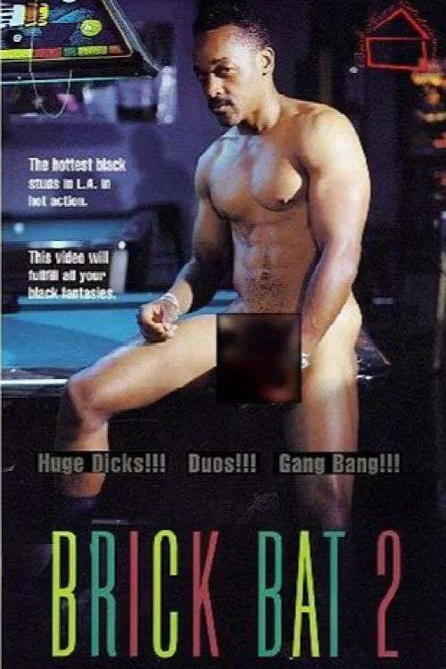 Movie poster for Brick Bat 2 (1995)