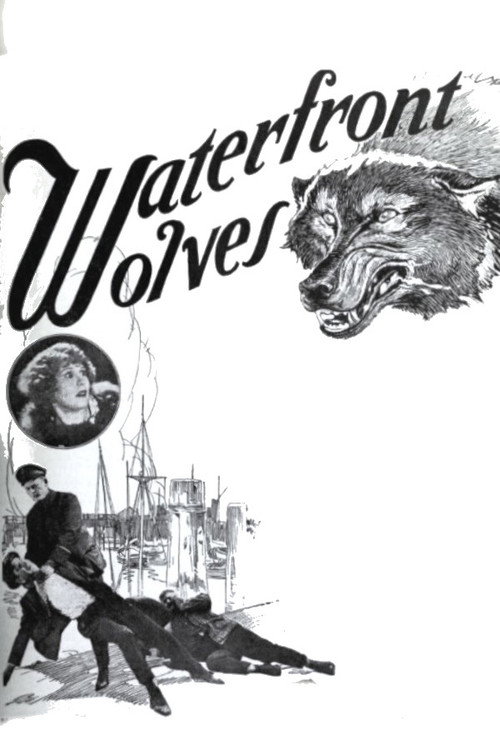 Movie poster for Waterfront Wolves (1924)