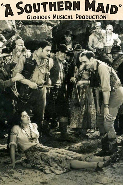 Movie poster for A Southern Maid (1934)