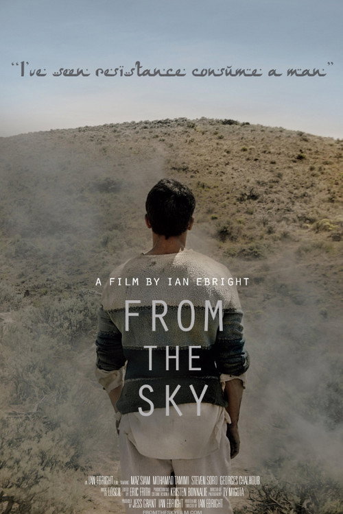 Movie poster for From the Sky (2014)