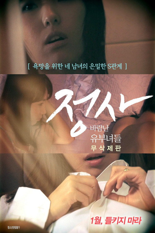Movie poster for An Affair: Cheating Housewives - Director's Cut (2017)