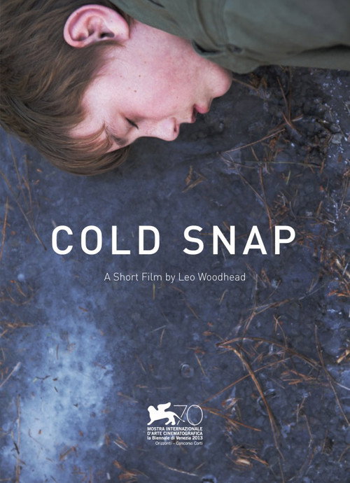 Movie poster for Cold Snap (2013)