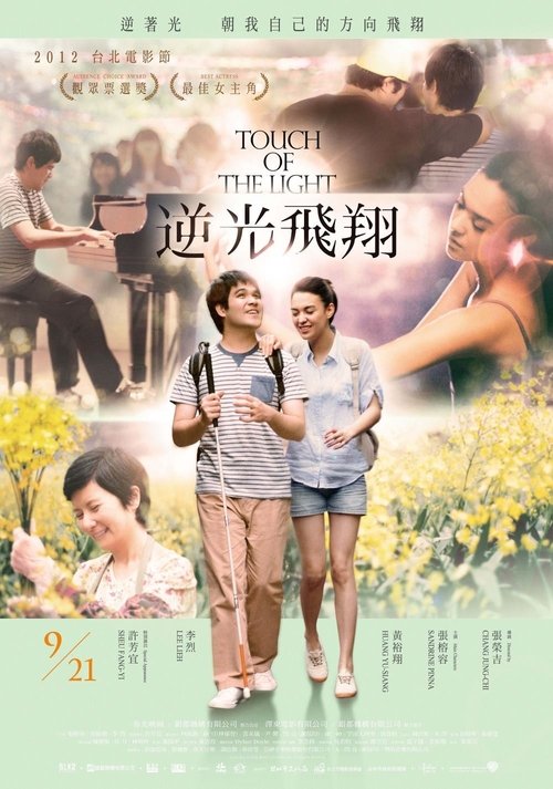 Movie poster for Touch of the Light (2012)