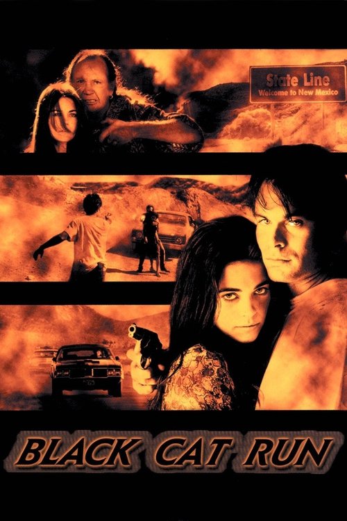 Movie poster for Black Cat Run (1998)