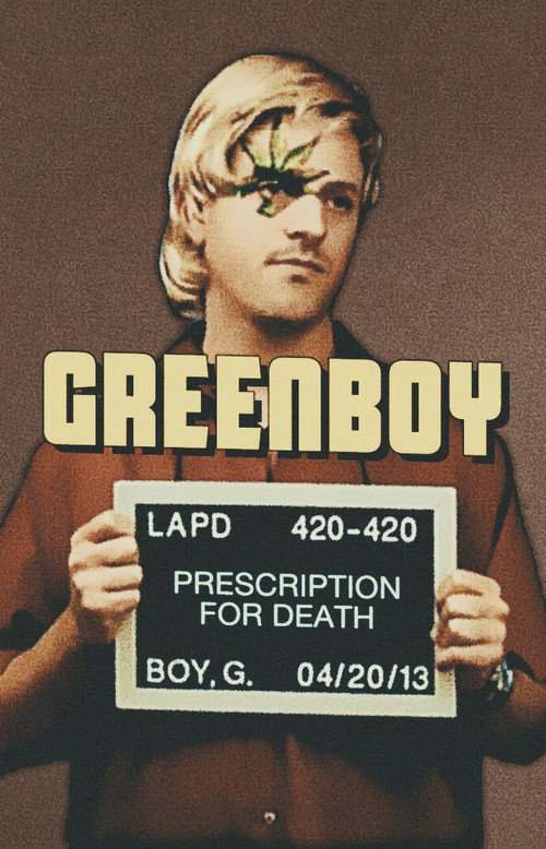 Movie poster for Greenboy: Prescription for Death (2013)