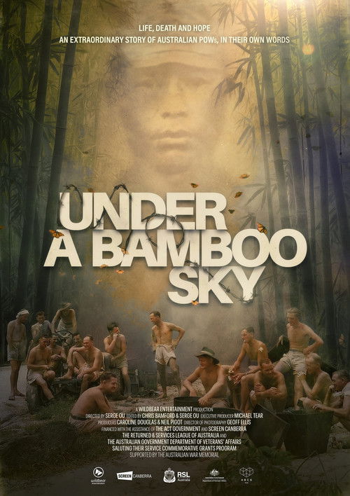 Under a Bamboo Sky poster