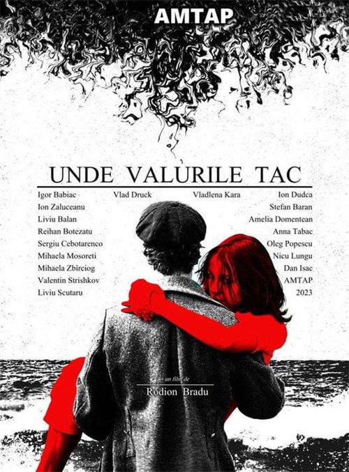 Movie poster for Unde Valurile Tac (2024)