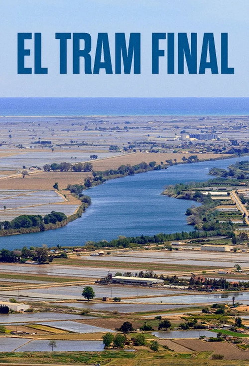 Movie poster for The Final Stretch (2014)